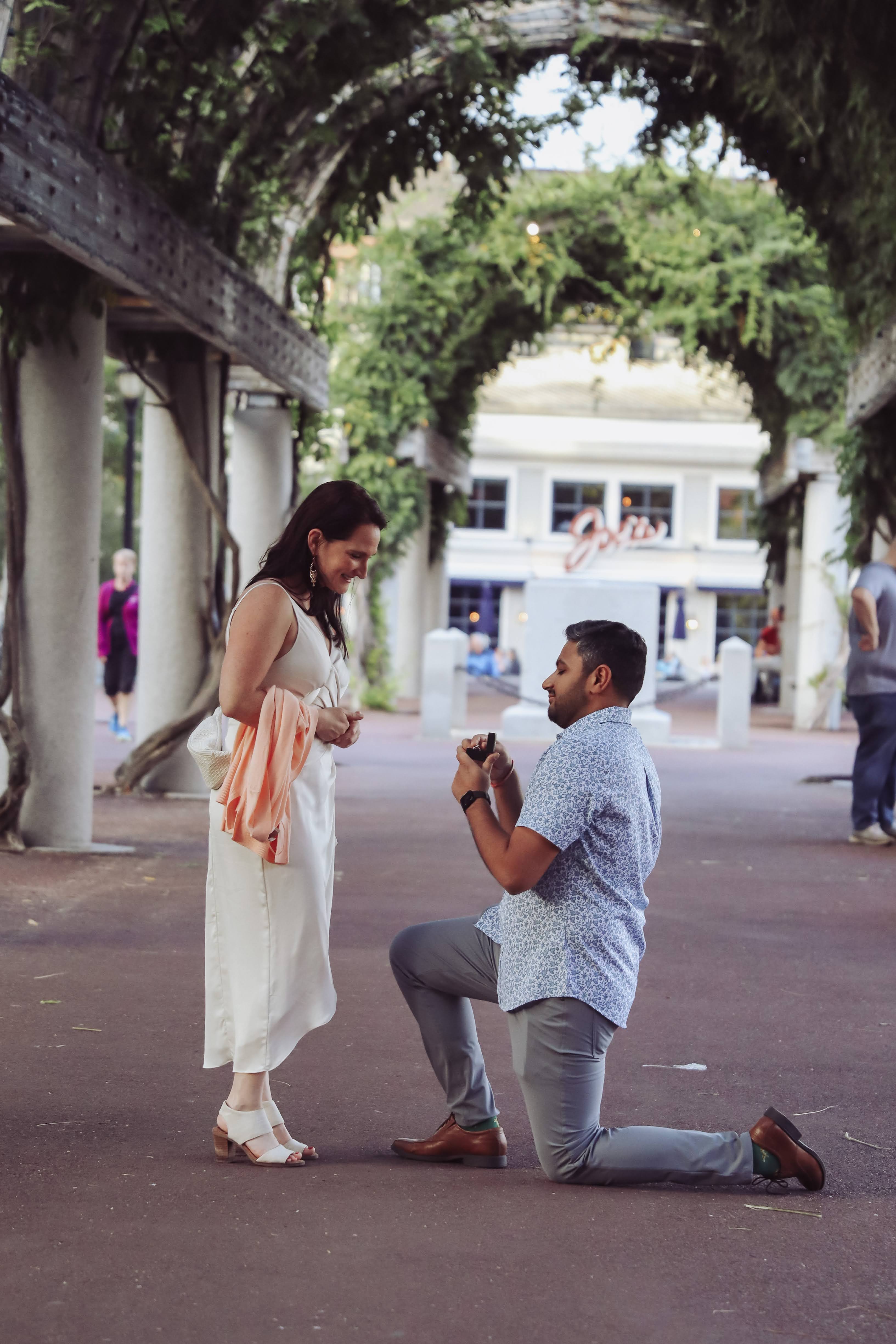 The proposal of Ishan and Joanna